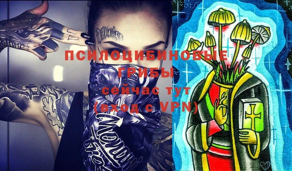 крисы Медногорск
