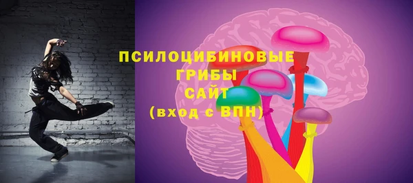 ПСИЛОЦИБИНОВЫЕ ГРИБЫ Магас