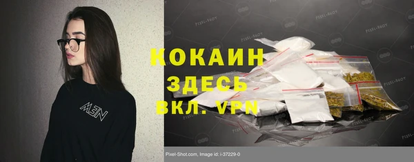 ГАЛЛЮЦИНОГЕННЫЕ ГРИБЫ Бердск