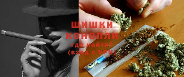 индика Магадан