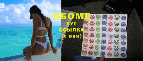 крисы Медногорск