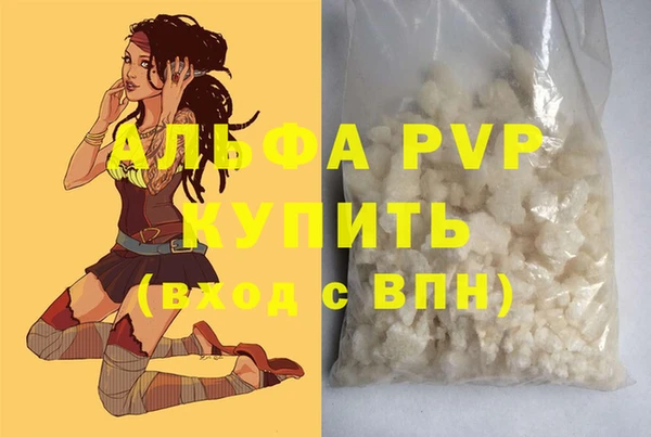ГАЛЛЮЦИНОГЕННЫЕ ГРИБЫ Бердск