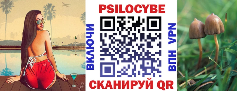 mega зеркало  Хвалынск  Галлюциногенные грибы прущие грибы 